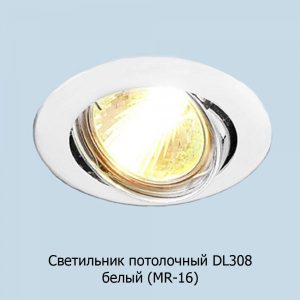 dl308_bel