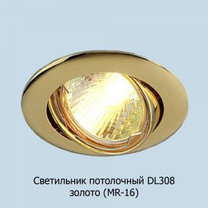 dl308_zoloto