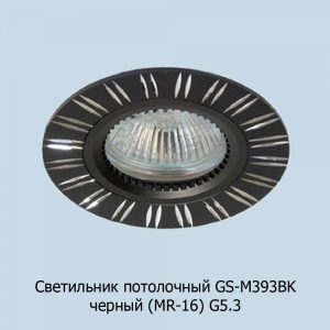 gs-m393bk_chern