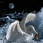 animals_13184