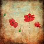 art-1313-6-6%d1%856-6
