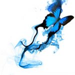 butterfly-13102-4-6%d1%854-8