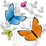 butterfly-13118-unlimith