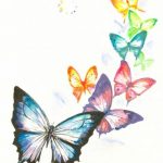 butterfly-13121-unlimith