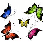butterfly-13123-unlimith