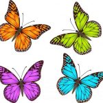 butterfly-13125-unlimith