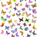 butterfly-13140-unlimith