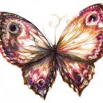 butterfly-1391-4-0%d1%853-0