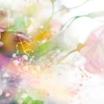 flowers-13128-6-0%d1%854-0
