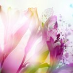 flowers-13130-6-0%d1%854-0
