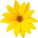 flowers-1326-4-0%d1%854-0