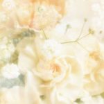 flowers_13370