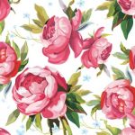 flowers_13408