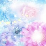 flowers_13429