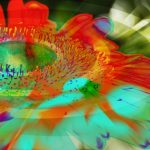flowers_13452