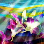 flowers_13463