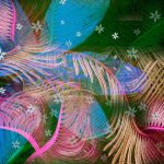 flowers_13464