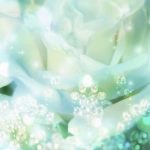 flowers_13499