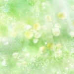 flowers_13512