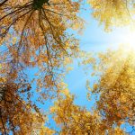 nature-1301-8-4%d1%855-6