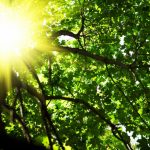 nature-1307-7-7%d1%855-8