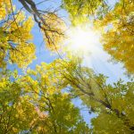 nature-1309-5-0%d1%853-4