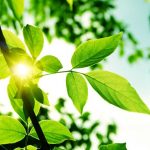 nature-1329-6-6%d1%855-1