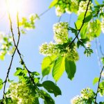 nature-1330-4-9%d1%854-0