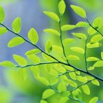 nature-1332-4-2%d1%852-8