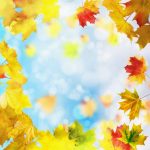 nature-1338-7-6%d1%857-6