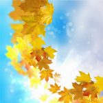 nature-1339-7-6%d1%857-6