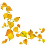 nature-1343-5-0%d1%855-0