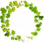 nature-1344-5-4%d1%855-2