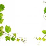nature-1345-5-3%d1%853-5