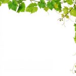 nature-1346-6-3%d1%854-8