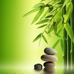 nature-1355-4-8%d1%854-4