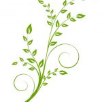 nature-1364-unlimith