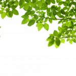 nature-1374-7-2%d1%853-7