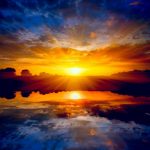 nature_1384