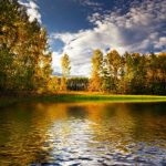 nature_1394