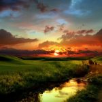 nature_1417