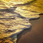 nature_1424