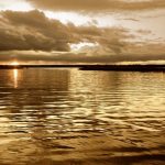 nature_1426
