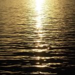 nature_1433