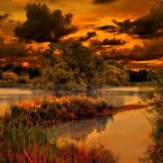 nature_1442