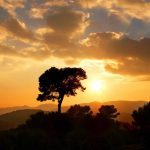 nature_1446