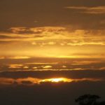 nature_1461