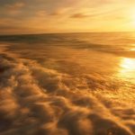 nature_1463