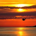 nature_1467