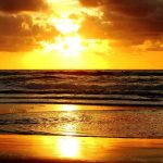 nature_1471
